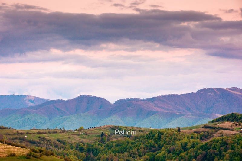 dusk over mountainous countryside scenery. dramatic sky above the distant valley and ridge. remote green meadows and trees on rolling hills. beautiful nature landscape of carpathians during spring