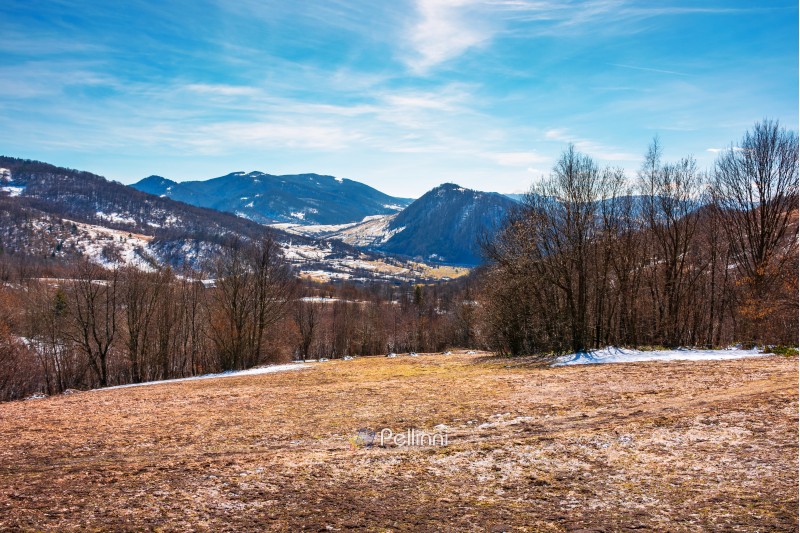 early springtime in mountainous countryside. leafless trees on the meadow with weathered grass and spots of snow. spring is coming. sunny weather