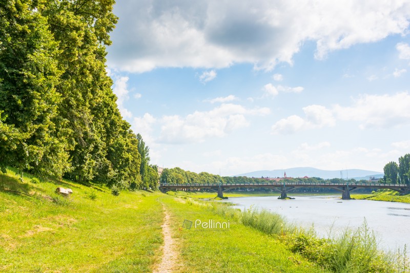 embankment with linden trees in blossom. travel destination. scenery by the river uzh on a sunny day. masaryk bridge in the distance