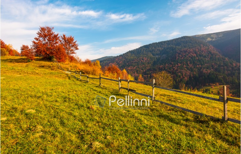 fence along the grassy hillside. beautiful autumn scenery in mountains. calm rural life concept