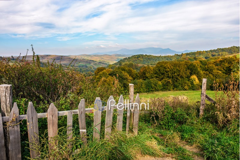 mountain; fence; forest; landscape; meadow; nature; village; tree; green; slope; hill; rural; countryside; outdoor; field; agriculture; bush; valley; scenery; cloud; hillside; season; scenic; autumn; agricultural; sunrise; fresh; morning