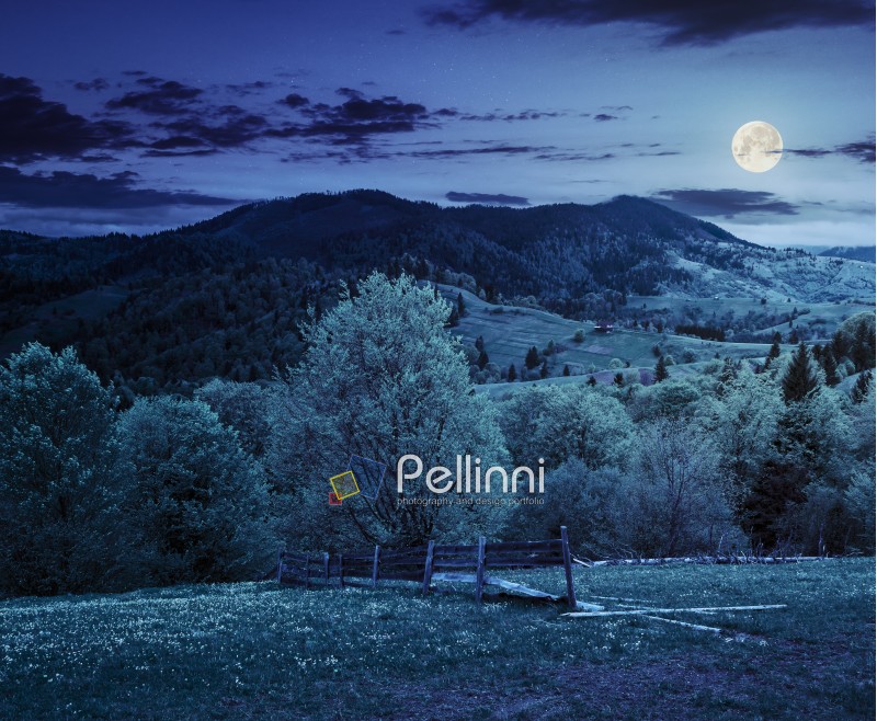 rural landscape with fence near the meadow and forest on the hillside at night in full moon light