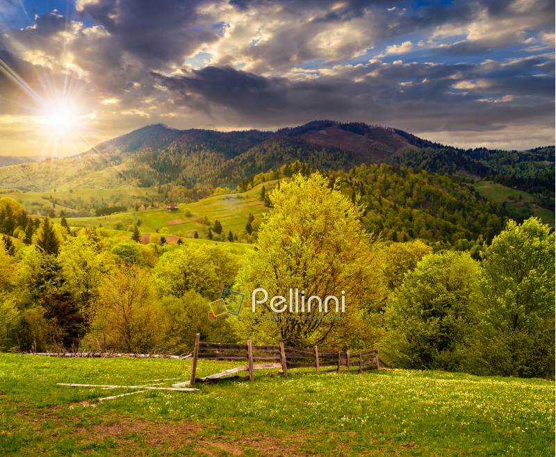 rural landscape with fence near the meadow and forest on the hillside in evening light