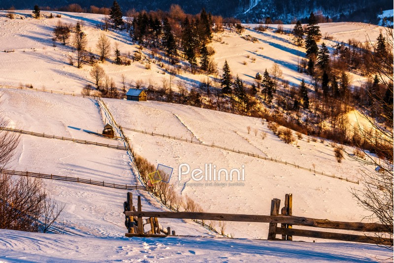 fence on the snow covered field on mountain slope near the forest in winter morning