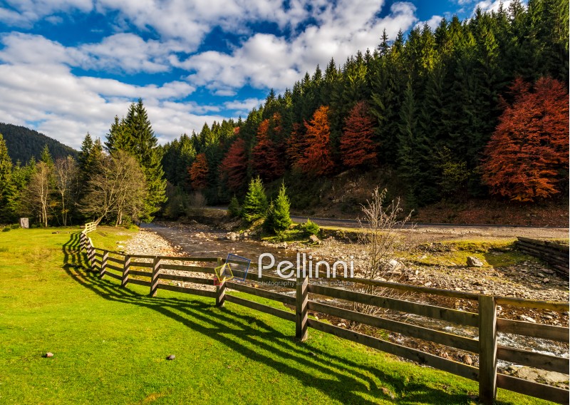 fence on the meadow near forest river in autumn mountains. few red foliage trees among spruce forest on hill