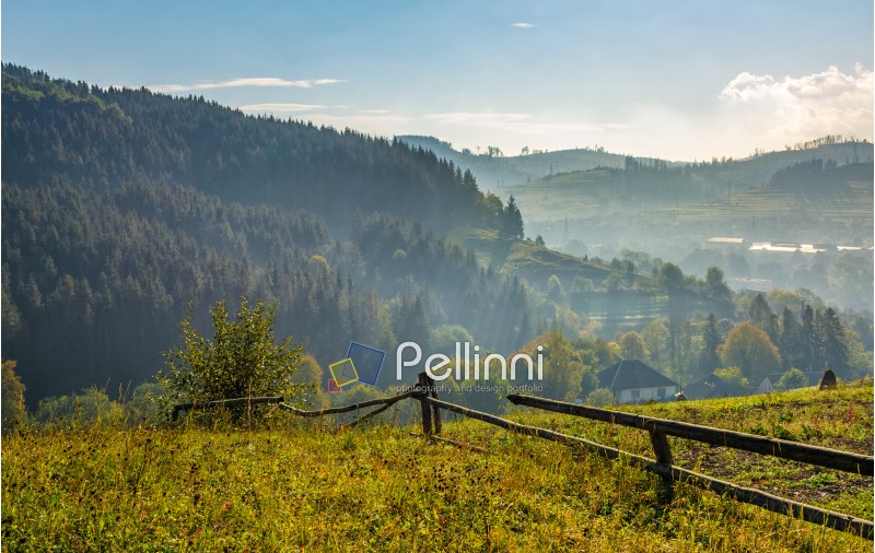 beautiful area in mountainous countryside. fence through hillside with rural fields near the forest in early autumn morning mist