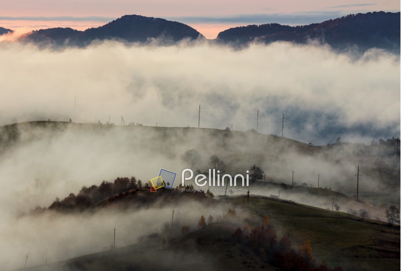 fog above the rural hills at dawn. gorgeous nature autumnal background in mountain