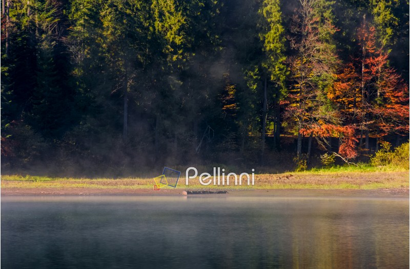 fog on the lake in autumnal forest. lovely background with colorful foliage and abstract textures