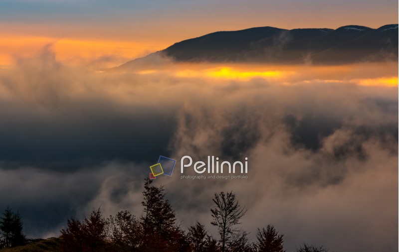 fog rise in mountains at sunrise. gorgeous autumnal nature scenery with light spots over the cloud