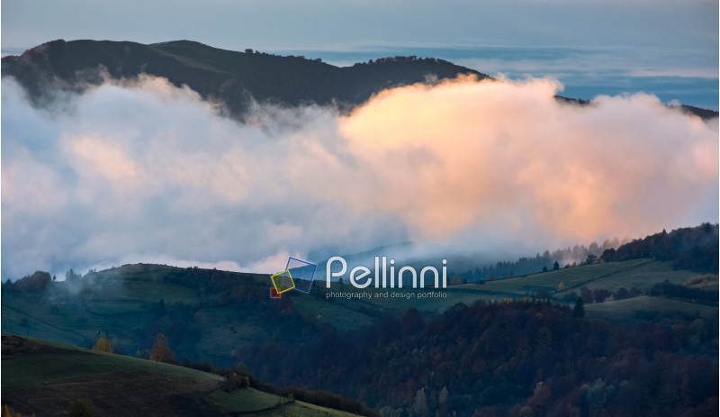 cold morning fog with golden hot sunrise in the valley of Carpathian mountain range. green grass and trees with colorful foliage on the hillside meadow lit by first rays of sun