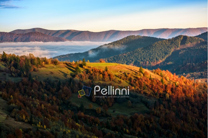 landscape; morning; fog; autumn; mountain; nature; mist; tree; travel; green; warm; golden; red; foliage; valley; forest; view; yellow; light; environment; hill; season; beautiful; plant; vivid; spectacular; idyllic; ridge; color; meadow; valley; weather; nature; dramatic; haze; fall; sunrise; foliage