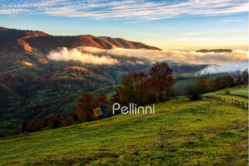 landscape; morning; fog; autumn; mountain; fence; nature; mist; tree; travel; green; warm; golden; red; forest; view; yellow; environment; hill; fence; season; beautiful; plant; sky; cloud; blue; border; counrtyside; vivid; spectacular; idyllic; ridge; foliage; color; meadow; valley; weather; dramatic; haze; fall; sunrise; foliage