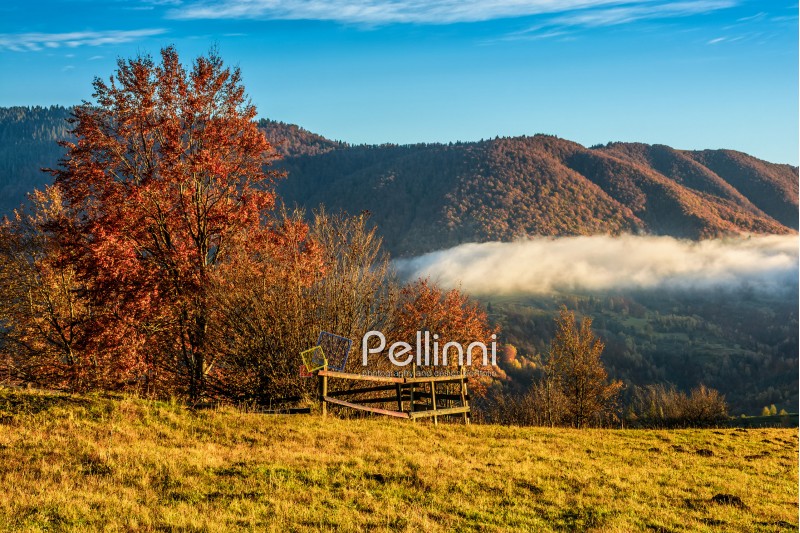 landscape; morning; fog; autumn; mountain; nature; mist; tree; travel; green; warm; golden; red; forest; red; view; yellow; environment; hill; fence; season; beautiful; plant; counrtyside; vivid; spectacular; idyllic; ridge; foliage; color; meadow; valley; weather; dramatic; haze; fall; sunrise; foliage