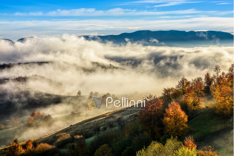 cold morning fog with golden hot sunrise in the rural area of Carpathian mountain range