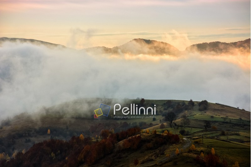 landscape; morning; fog; autumn; mountain; nature; mist; tree; travel; green; warm; golden; red; forest; view; yellow; environment; hill; season; beautiful; plant; vivid; spectacular; idyllic; ridge; color; meadow; valley; weather; dramatic; haze; fall; sunrise; foliage; fence