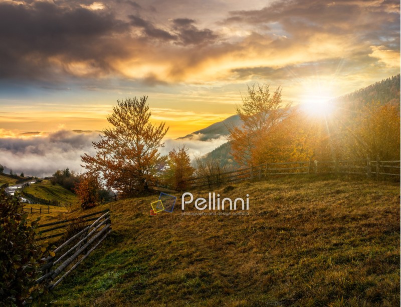 landscape; morning; fog; autumn; mountain; road; fence; nature; mist; tree; travel; green; warm; golden; red; forest; view; yellow; environment; way; hill; fence; season; beautiful; plant; sky; cloud; blue; border; counrtyside; vivid; spectacular; idyllic; ridge; foliage; color; meadow; valley; weather; dramatic; haze; fall; sunset; foliage; nature