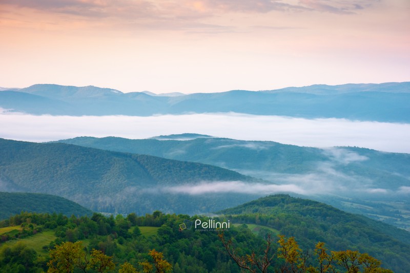 foggy carpathian countryside scenery at dawn in summer. view of foggy carpathian countryside scenery at dawn in summer. view of mountainous landscape with rural fields on rolling hills. fog in the valley. clouds above the mountain. remote outdoors background