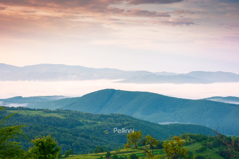 foggy carpathian countryside scenery at dawn in summer. view of foggy carpathian countryside scenery at dawn in summer. view of mountainous landscape with rural fields on rolling hills. fog in the valley. clouds above the mountain. remote outdoors background