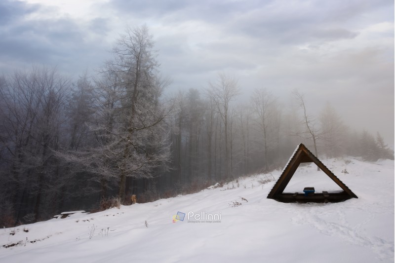 shed on a snowy meadow. foggy morning in forest. trees in hoarfrost beneath a heavy cloudy sky