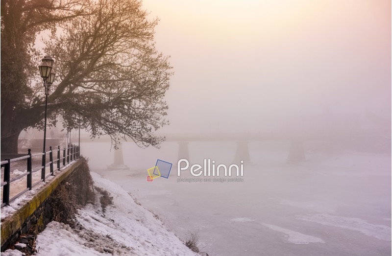foggy morning near the bridge through the frozen river. tree in hoarfrost on the snowy empty embankment. gorgeous cityscape sunrise