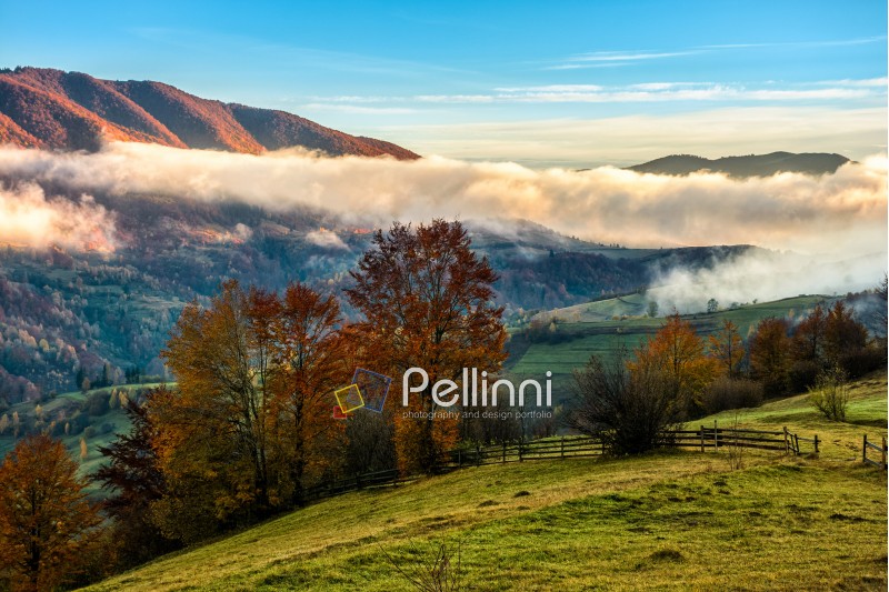 landscape; morning; fog; autumn; rural; fence; mountain; nature; mist; tree; travel; green; warm; golden; landscape; red; forest; view; yellow; environment; hill; season; beautiful; plant; vivid; spectacular; idyllic; ridge; color; meadow; valley; weather; dramatic; haze; fall; sunrise; foliage