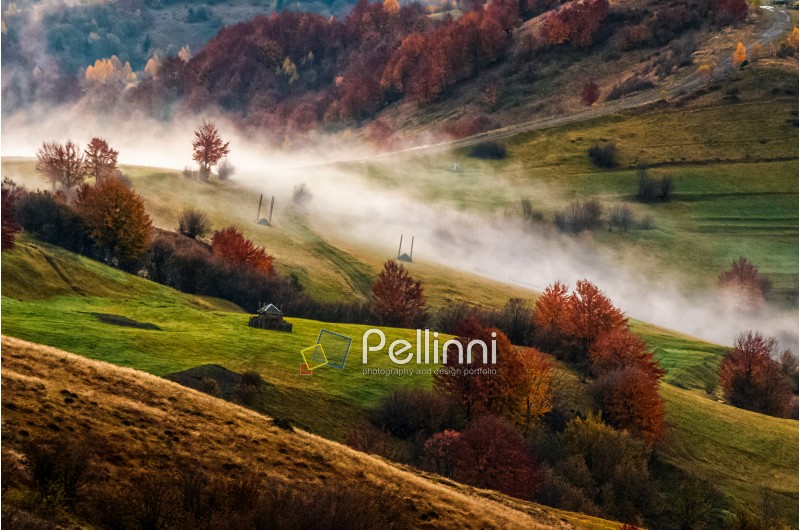 landscape; morning; fog; autumn; mountain; nature; mist; tree; travel; green; warm; golden; red; forest; view; yellow; environment; hill; hay; season; beautiful; plant; vivid; spectacular; idyllic; ridge; color; meadow; valley; weather; dramatic; haze; fall; sunrise; foliage