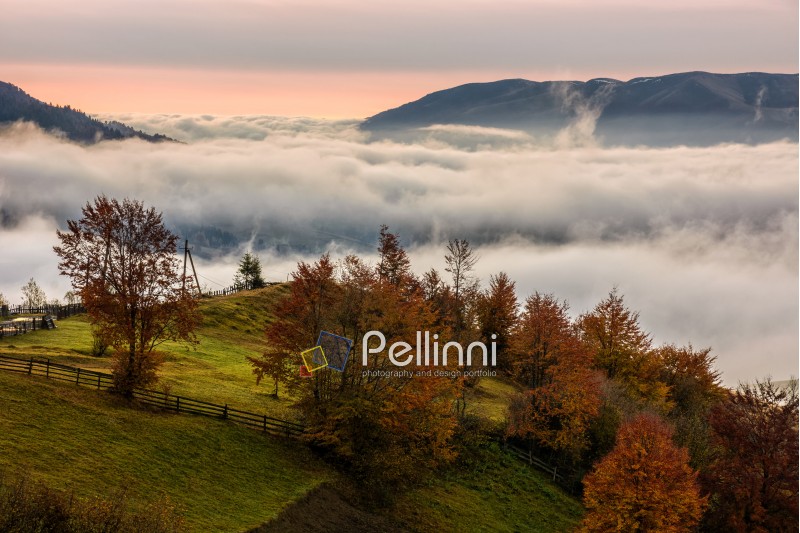 landscape; morning; fog; autumn; rural; fence; mountain; nature; mist; tree; travel; green; warm; red; cloud; landscape; forest; view; yellow; environment; hill; season; cloud; beautiful; plant; vivid; spectacular; idyllic; ridge; color; meadow; valley; weather; dramatic; haze; fall; sunrise; foliage