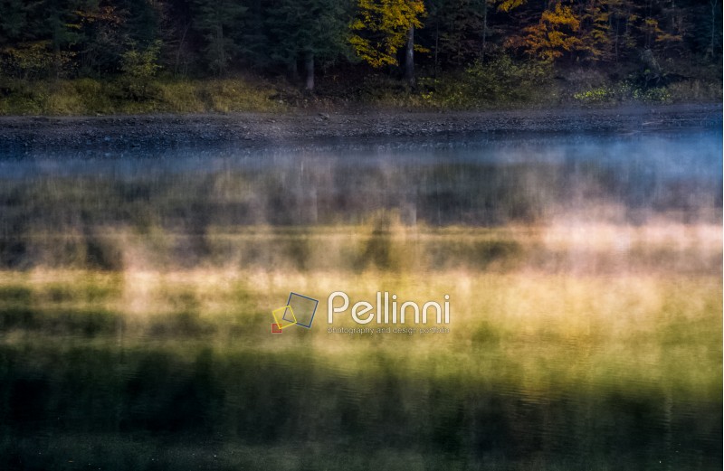 foggy surface of the forest lake at sunrise. beautiful nature background of colorful smoke rising over the water