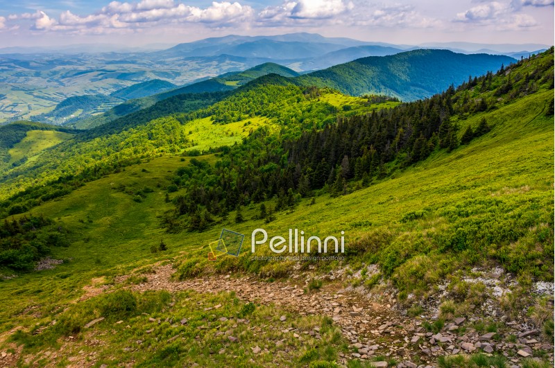 summer mountain landscape. footpath down the hill through forest on mountain ridge to valley. beautiful Carpathian nature scene
