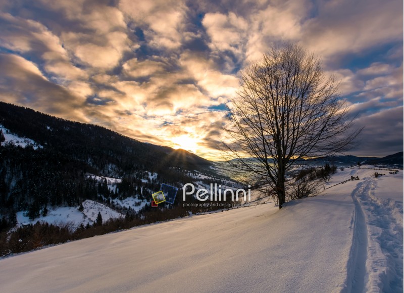 footpath through snowy rural hillside. gorgeous sunrise in mountainous winter countryside