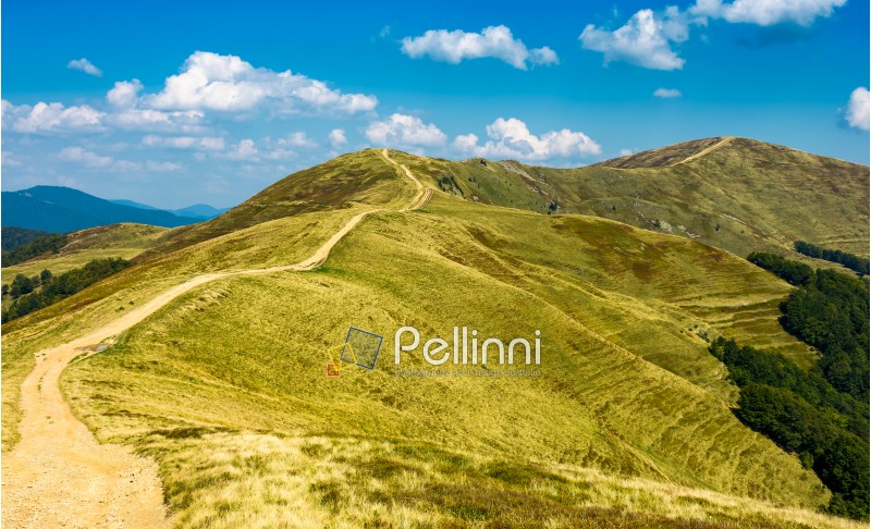 footpath through the grassy hills of mountains. beautiful summer scenery in fine weather with some clouds on a blue sky