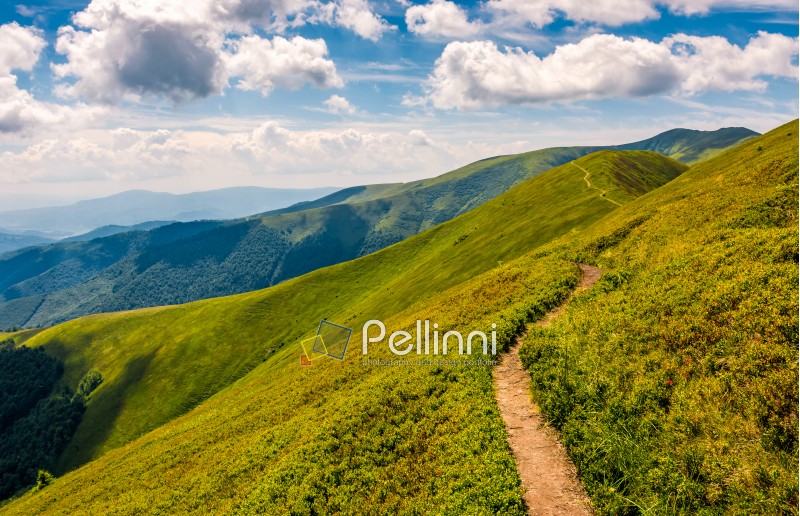 summer mountain landscape. footpath uphill through the ridge to the peak. beautiful Carpathian nature scene
