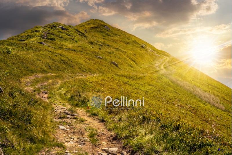 summer mountain landscape. foot path through hill side to the mountain top in evening light