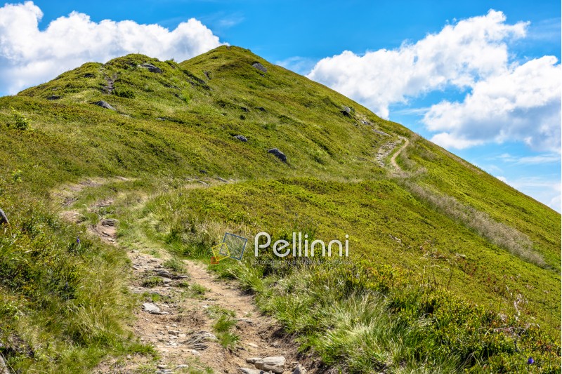 summer mountain landscape. foot path through hill side to the mountain top