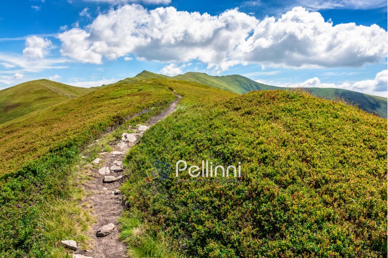 summer mountain landscape. foot path through hill side to the mountain top