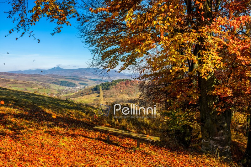 forest; landscape; foliage; bench; red; mountain; peak; park; scenic; tree; wood; autumn; fall; leaf; nature; season; outdoor; tourism; wood; fresh; high; sunny; blue; leave; colorful; colors; background; environment; vibrant; bright; countryside; branch