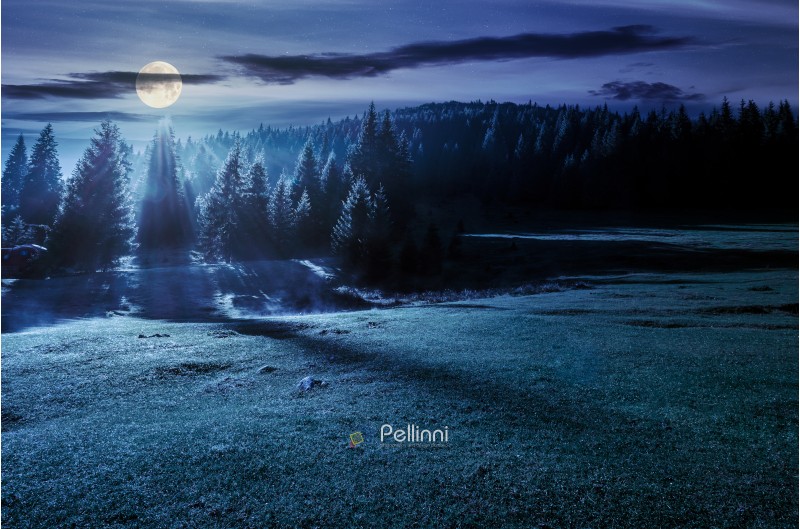 forest on grassy meadow at foggy night in full moon light. lovely nature scenery with forested hill in the distance