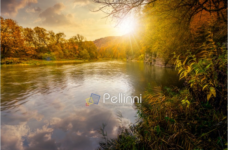 forest river in autumn mountains. lovely grassy shores with yellowed trees and rocky cliff. gorgeous nature autumnal scenery at sunset
