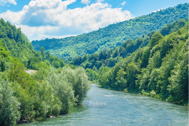 forest river in mountains. forested hill and shores. beautiful summer scenery at sunny high noon. fluffy cloud on the blue sky