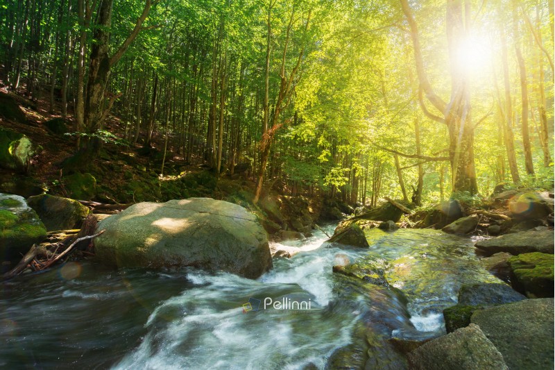 forest stream among the rocks. beautiful summer scenery on a sunny day. wonderful nature background. refreshing rapid flow in sun rays