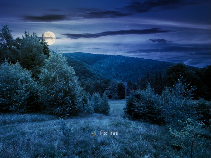 forested area in mountains at night in full moon light. calm nature with green grassy meadow and cloudy sky