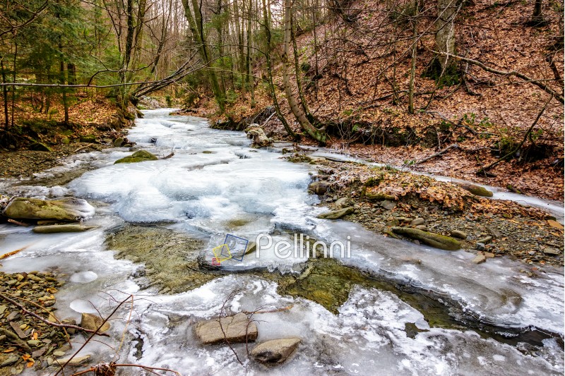 frozen river among the forest  in carpathian mountains