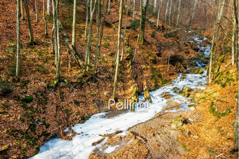 frozen river among forest with trees and foliage on the ground