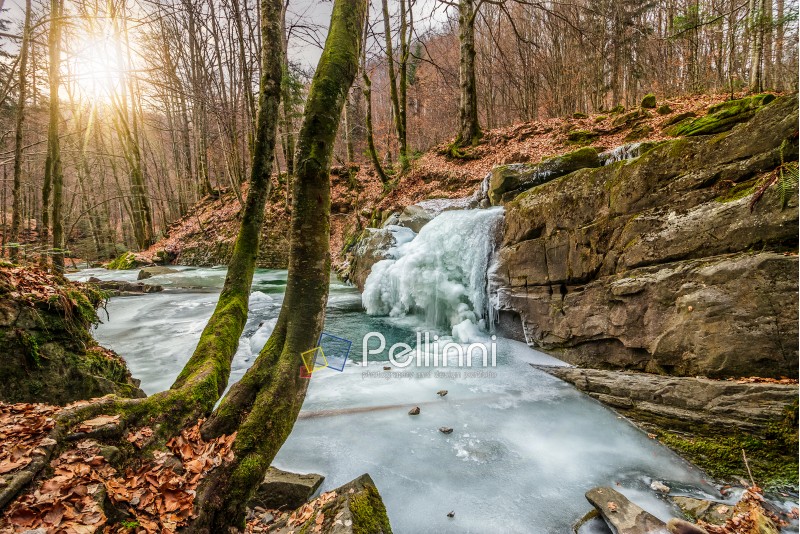 frozen waterfall over the huge boulder on the river among empty forest with old brown foliage on the ground