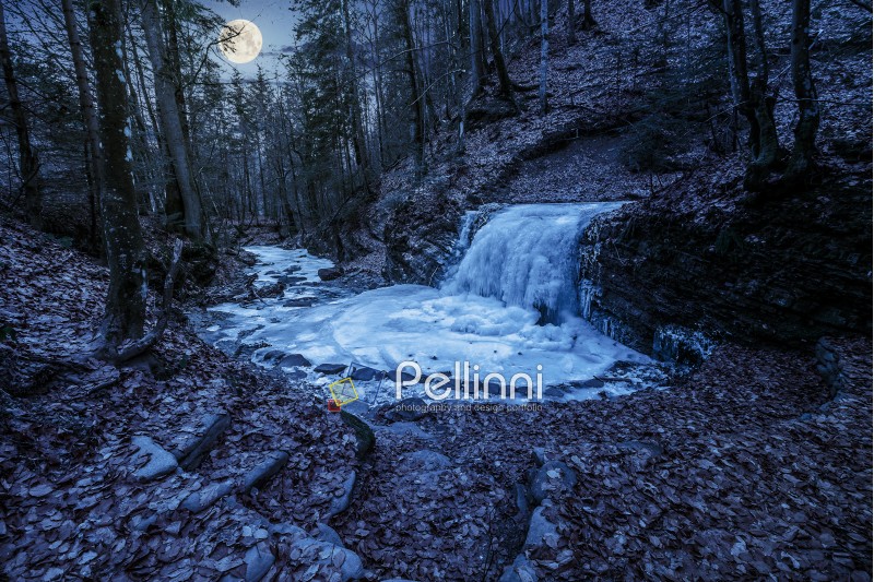 frozen waterfall on the  river among forest with old brown foliage on the ground at night in full moon light