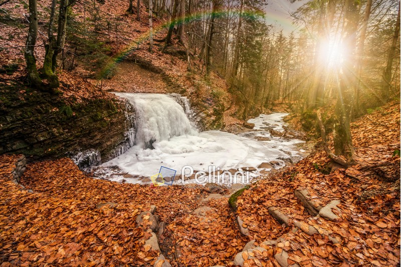 frozen waterfall on the  river among forest with old brown foliage on the ground in evening light