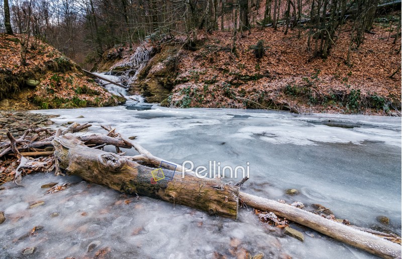 frozen waterfall on the  river among forest. old brown foliage on the ground