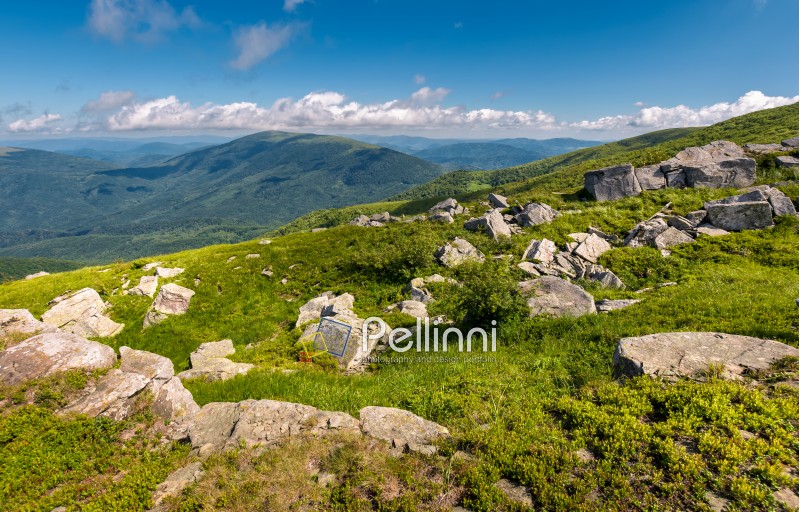 giant boulders on a grassy slope. summer scenery of Polonina Runa mountain ridge