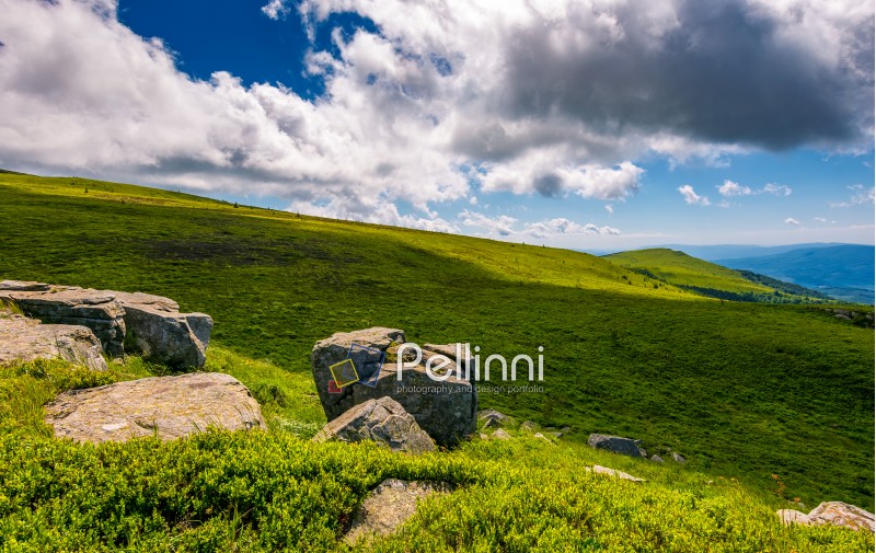 giant boulders on grassy slopes of Polonina Runa. beautiful summer scenery in Carpathian mountains with gorgeous cloudscape