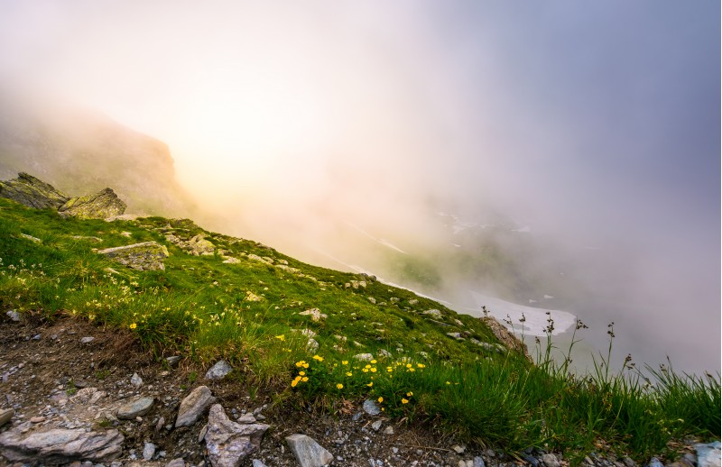 glowing fog over the grassy slope. beautiful nature background with gorgeous weather condition of Fagaras mountains